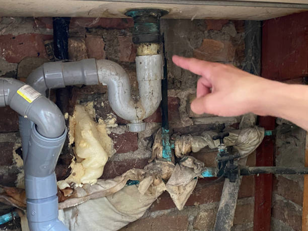 Best Flood restoration services  in Coleraine, MN